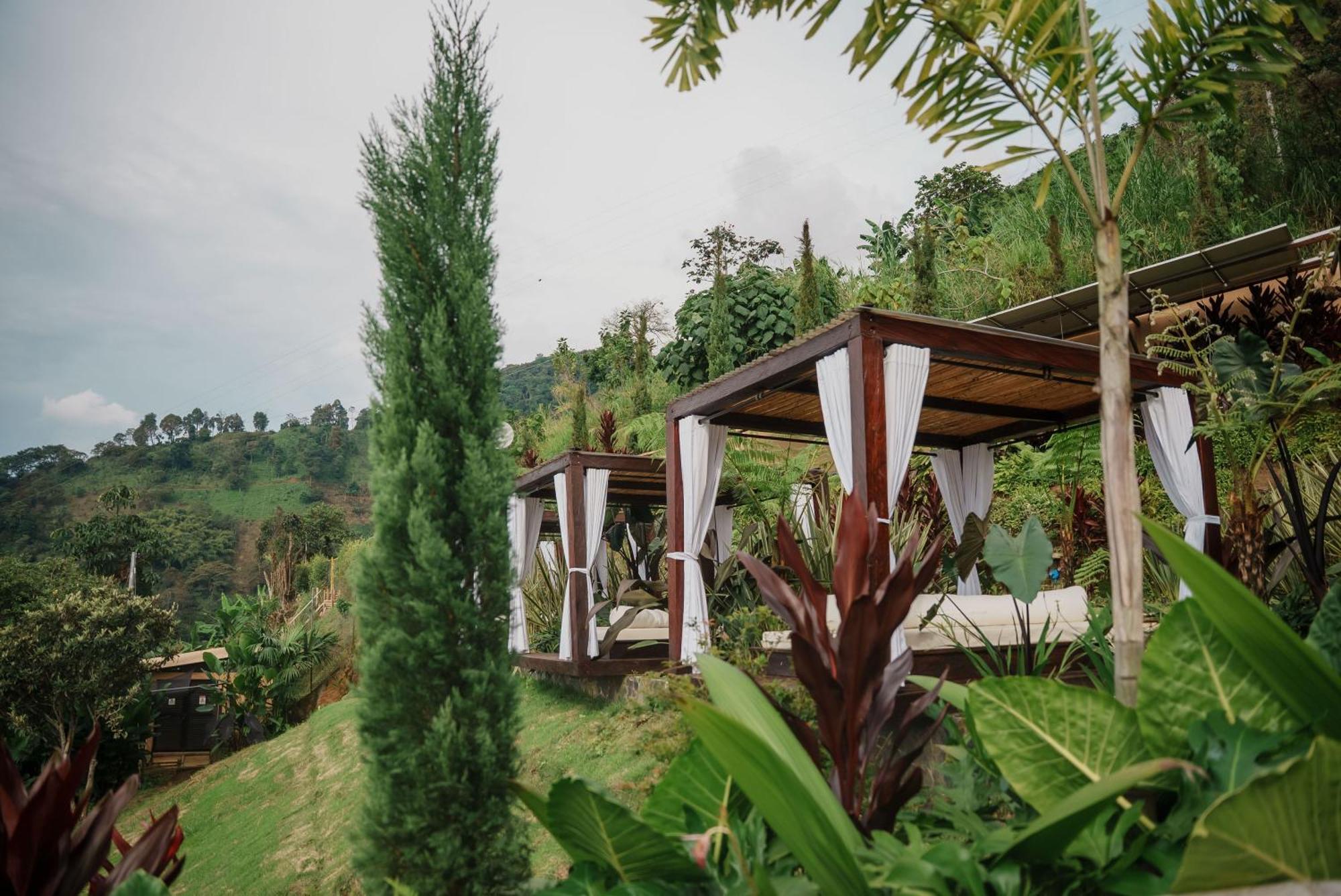酒店 Casamalva Buenavista (Quindio)